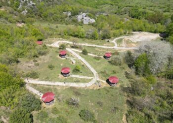 Küre Dağları Milli Parkı'nda bahar güzelliği
