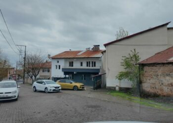 Kurdukları dernekle ev kiralayıp, sokak kedilerine yuva oldular