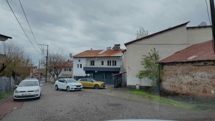 Kurdukları dernekle ev kiralayıp, sokak kedilerine yuva oldular