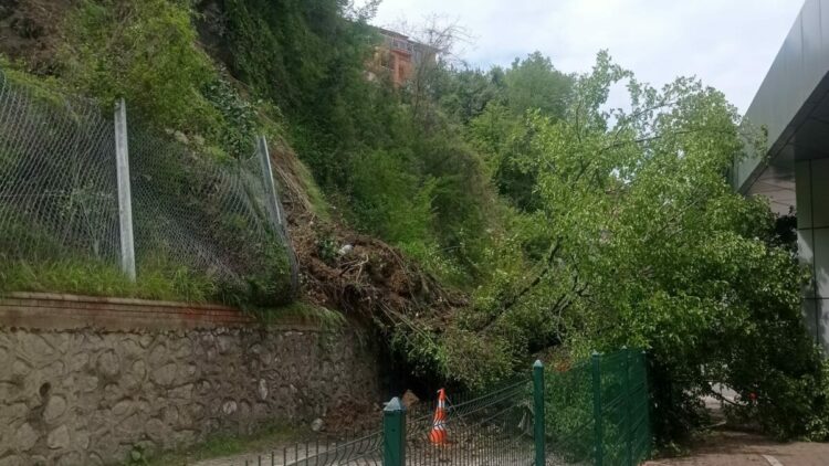 Terminal bölgesinde heyelan; yıkılan ağaç, peronlara devrildi