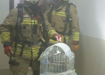 Mutfaktaki ocak alev aldı, apart bina tahliye edildi