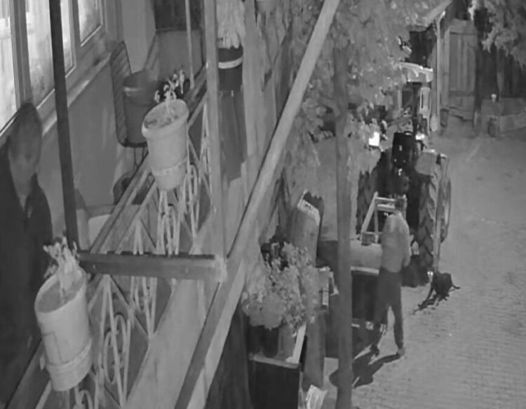 Köpeği demir sopayla öldürdü; o anlar kamerada