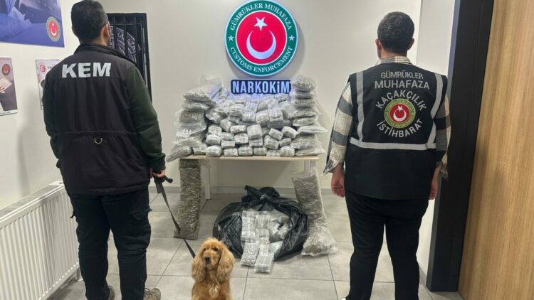 Ticaret Bakanlığı: 659 kilo uyuşturucu ele geçirildi