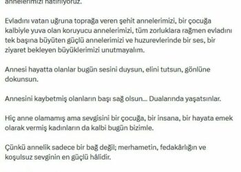 Bakan Göktaş'tan 'Anneler Günü' mesajı