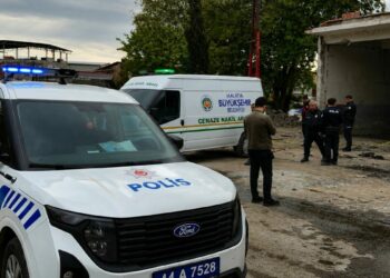 Elektrik direğinden düşüp öldü; olay kamerada