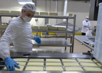 Erzincan'da günlük 45 ton kapasiteli süt fabrikası çiftçiye gelir sağlıyor
