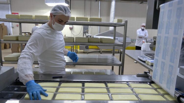 Erzincan'da günlük 45 ton kapasiteli süt fabrikası çiftçiye gelir sağlıyor