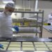 Erzincan'da günlük 45 ton kapasiteli süt fabrikası çiftçiye gelir sağlıyor