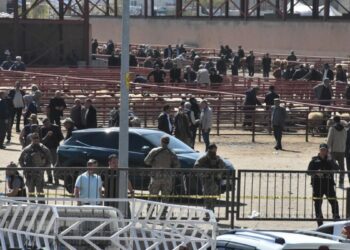 Van'da hayvan pazarında kavga; 1 ölü, 13 yaralı