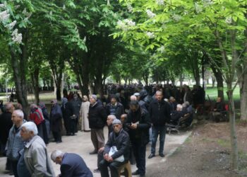 Kayseri’de 300 bin domates fidesi dağıtıldı; metrelerce kuyruk oluştu