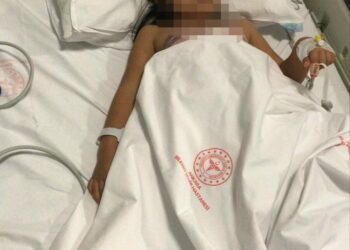 Ankara'da 2 kardeşe saldırıp yaralayan pitbullun sahibi tahliye edildi