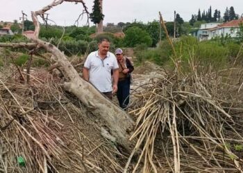 Tarihi Taşköprü'nün üzeri yine atıklarla kaplandı
