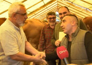 Bahçelievler kurban pazarında sıkı pazarlık: Abim bizi terleterek baya yordu