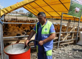 Bahçelievler Belediyesi bayram hazırlıklarının tamamlandığını duyurdu