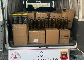 Bin 560 litre tağşiş/taklit zeytinyağı ele geçirildi; 3 gözaltı