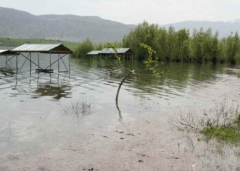 Kılıçkaya Barajı taştı; belediye tesisleri su altında kaldı