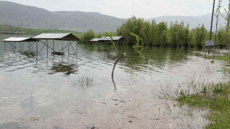 Kılıçkaya Barajı taştı; belediye tesisleri su altında kaldı