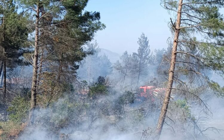 Hatay'da orman yangını