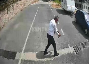 Otobüsü durdurup kaplumbağayı ezilmekten kurtardı