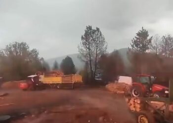 Orman işçilerinin yakınına yıldırım düştü; o anlar kamerada