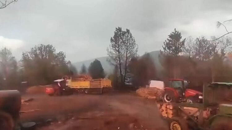 Orman işçilerinin yakınına yıldırım düştü; o anlar kamerada
