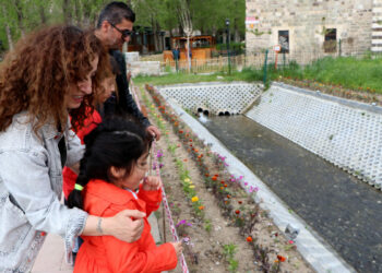 Van’da binlerce inci kefali üreme göçünde tarihle buluştu