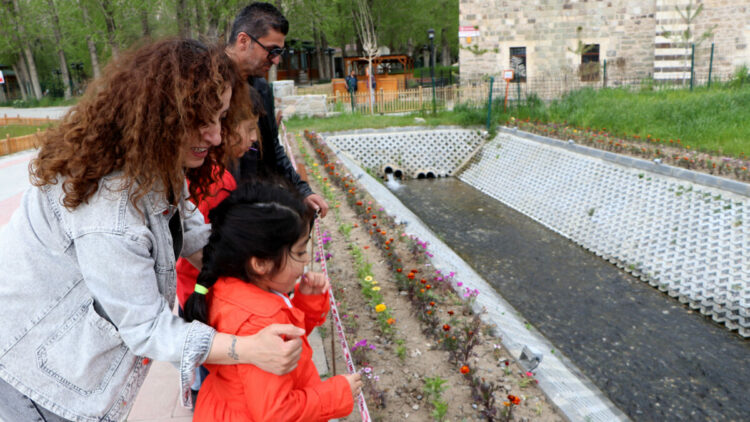 Van’da binlerce inci kefali üreme göçünde tarihle buluştu