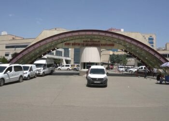 Eşekten düşüp sürüklenen Bedirhan, başını taşa çarpıp öldü