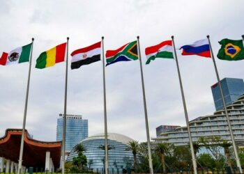 BRICS Dışişleri Bakanları Hindistan’da bir araya geldi