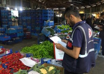 Bursa'da bayram öncesi hal ve terminalde 'fiyat ve stok' denetimleri