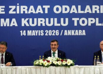 Cevdet Yılmaz: Tarımda yükselen yaş ortalamasını geriye çevirmemiz gerekiyor