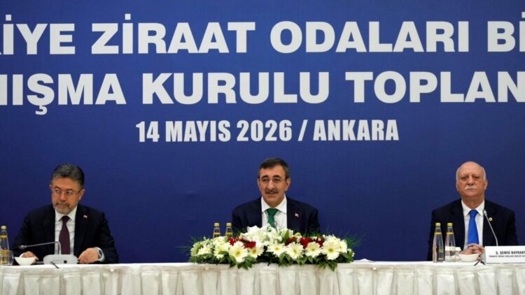 Cevdet Yılmaz: Tarımda yükselen yaş ortalamasını geriye çevirmemiz gerekiyor