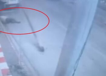 Yolda yürürken üzerine direk devrildi; o anlar kamerada