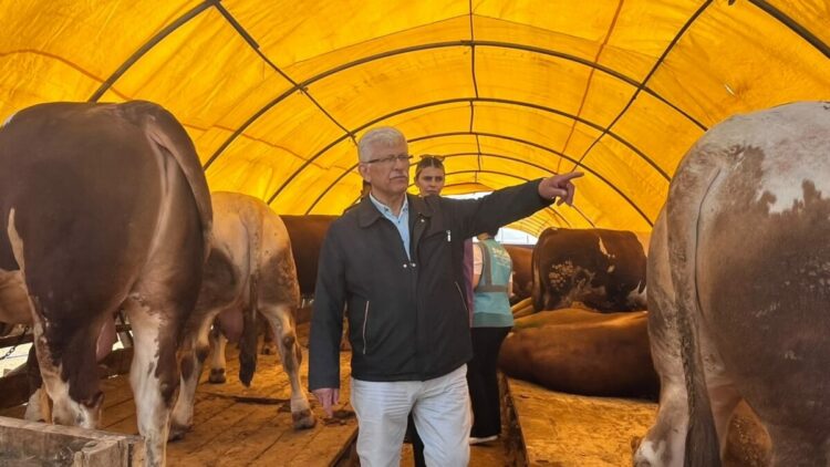 'Kurbanlık alırken küpe ve sağlık raporu mutlaka kontrol edilmeli'