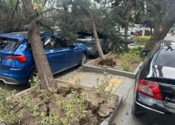 Ankara'da kuvvetli rüzgar; ağaçlar devrildi, araçlar zarar gördü