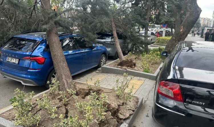 Ankara'da kuvvetli rüzgar; ağaçlar devrildi, araçlar zarar gördü