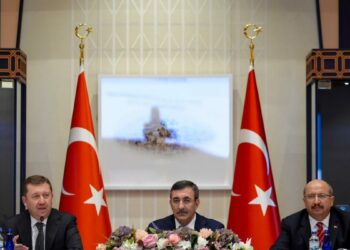 Cumhurbaşkanı Yardımcısı Yılmaz: Vatandaşlarımızdaki denetim algısını iyileştirmeyi hedefliyoruz