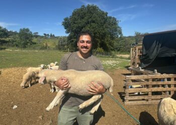 Şehir hayatını bırakıp kırsala yerleşti, hayvancılığa başladı