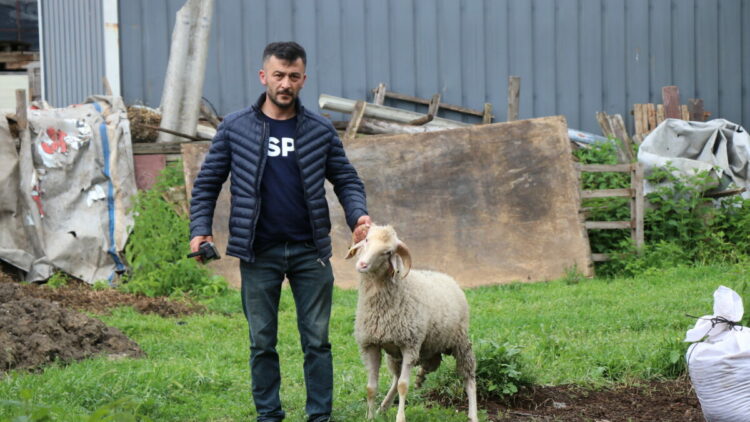 Bolu'daki kurban pazarlarında hareketlilik başladı