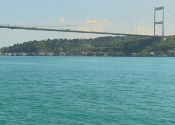 İstanbul Boğazı'nda yunus sürprizi