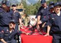 Muğla'da engellilerin askerlik sevinci