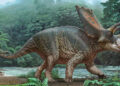 Tayland'da yeni bir dinozor türüne ait kalıntılar bulundu