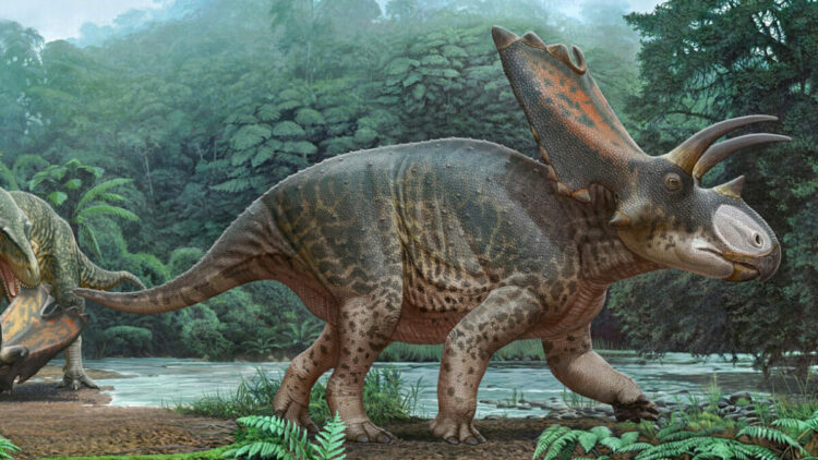 Tayland'da yeni bir dinozor türüne ait kalıntılar bulundu