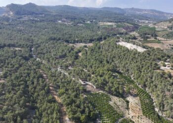 Mersin’de ormanlık alanlara giriş yasaklandı