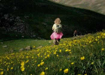 Erzincan'da saklı cennet; Sohmarik Yaylası