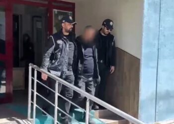 Durdurulan kamyondan 10 kaçak göçmen çıktı, sürücü tutuklandı