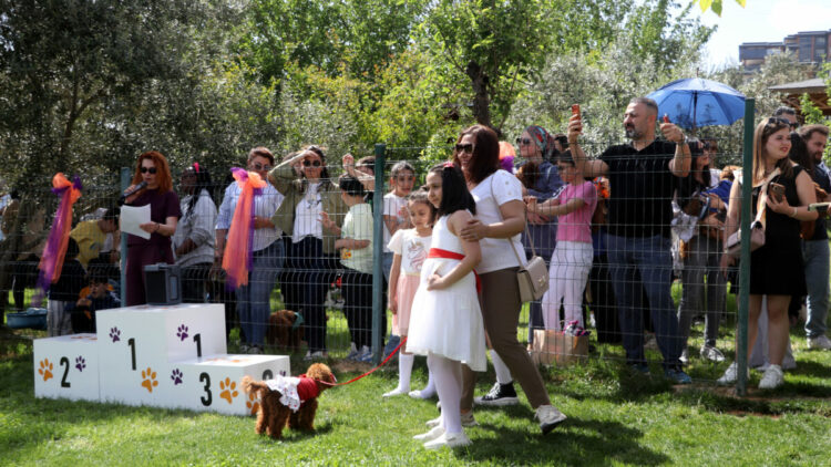 Gaziantep’te köpekler jüri karşısına çıktı