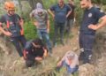 Kekik toplarken yüksekten düşen kadın kurtarıldı