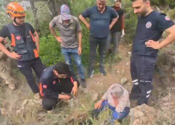 Kekik toplarken yüksekten düşen kadın kurtarıldı