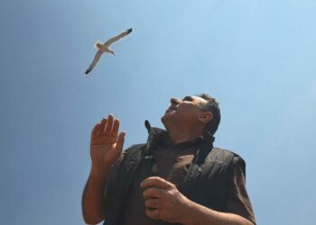 Zeytinburnu'nda anten tamiri için çatıya çıktı martıların saldırısına uğradı; 'Az kalsın çatıdan düşecektim'